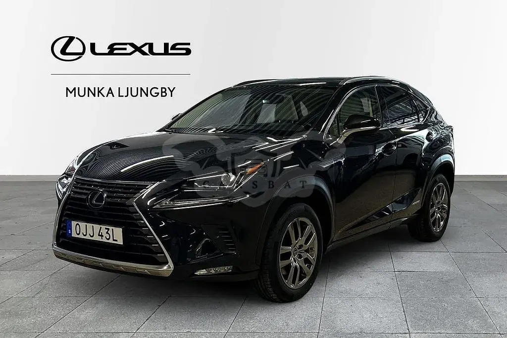 Lexus NX 2019