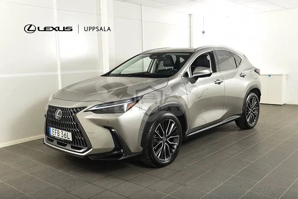 Lexus NX 2023