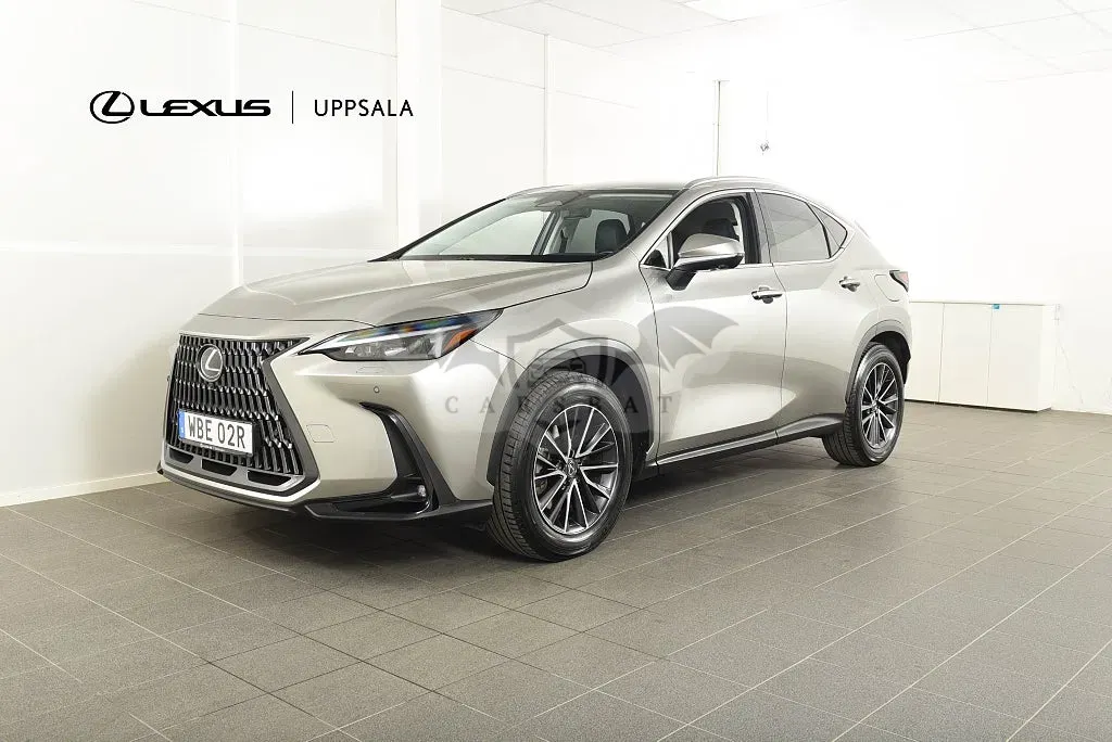 Lexus NX 2024