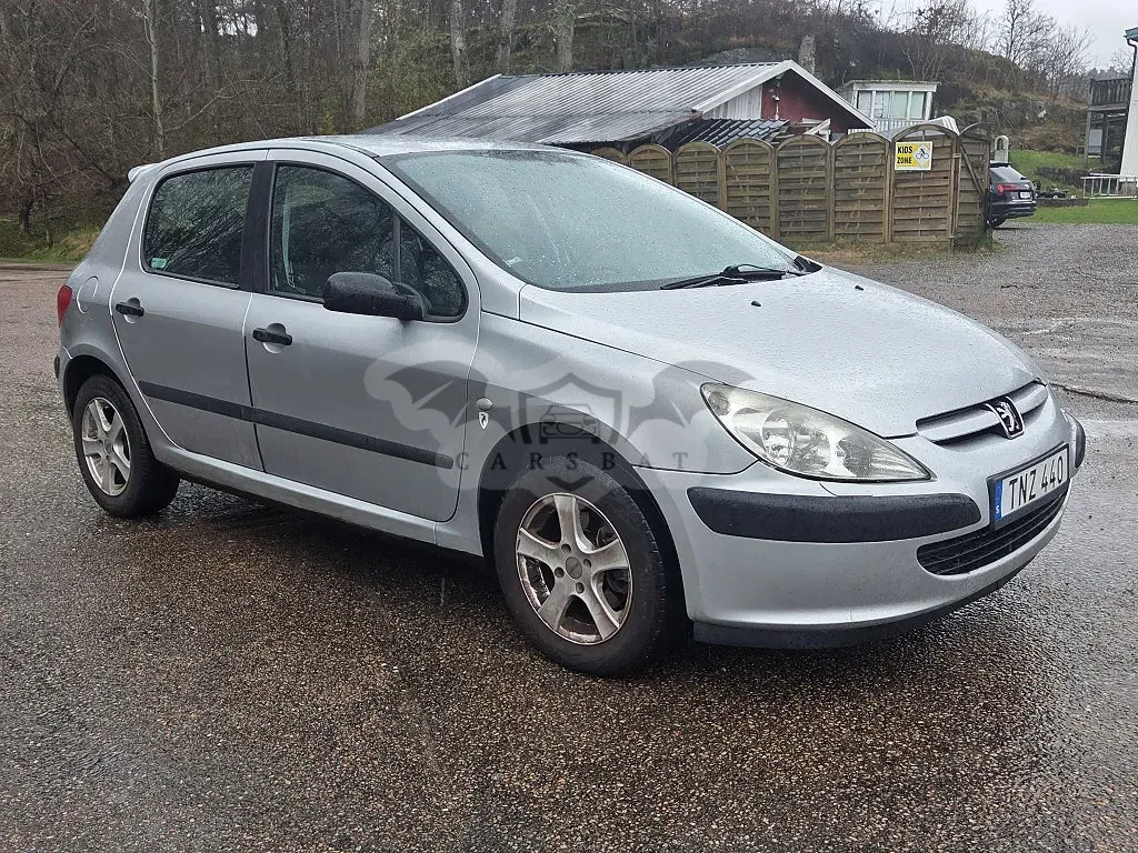 Peugeot 307 2003