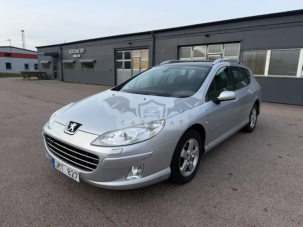 Peugeot 407 2010