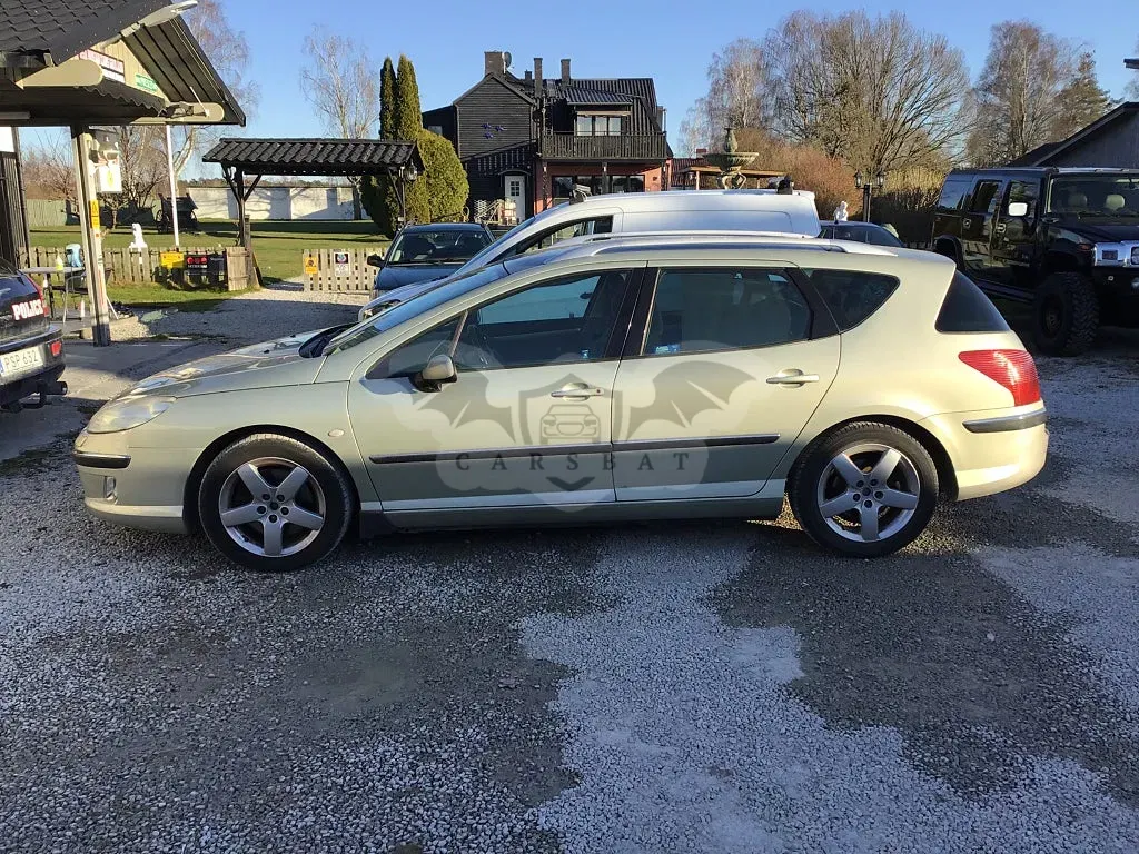 Peugeot 407 2005