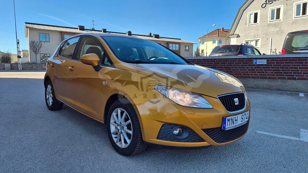 Seat Ibiza 2011