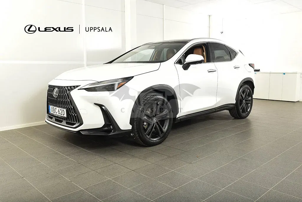 Lexus NX 2025