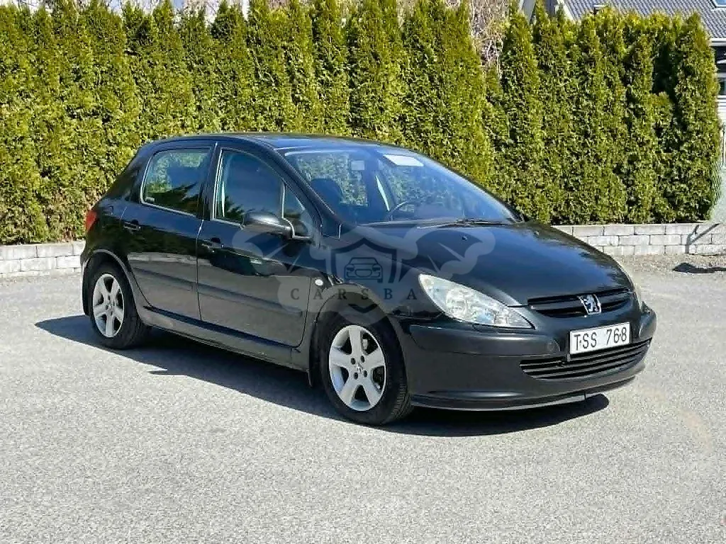 Peugeot 307 2003