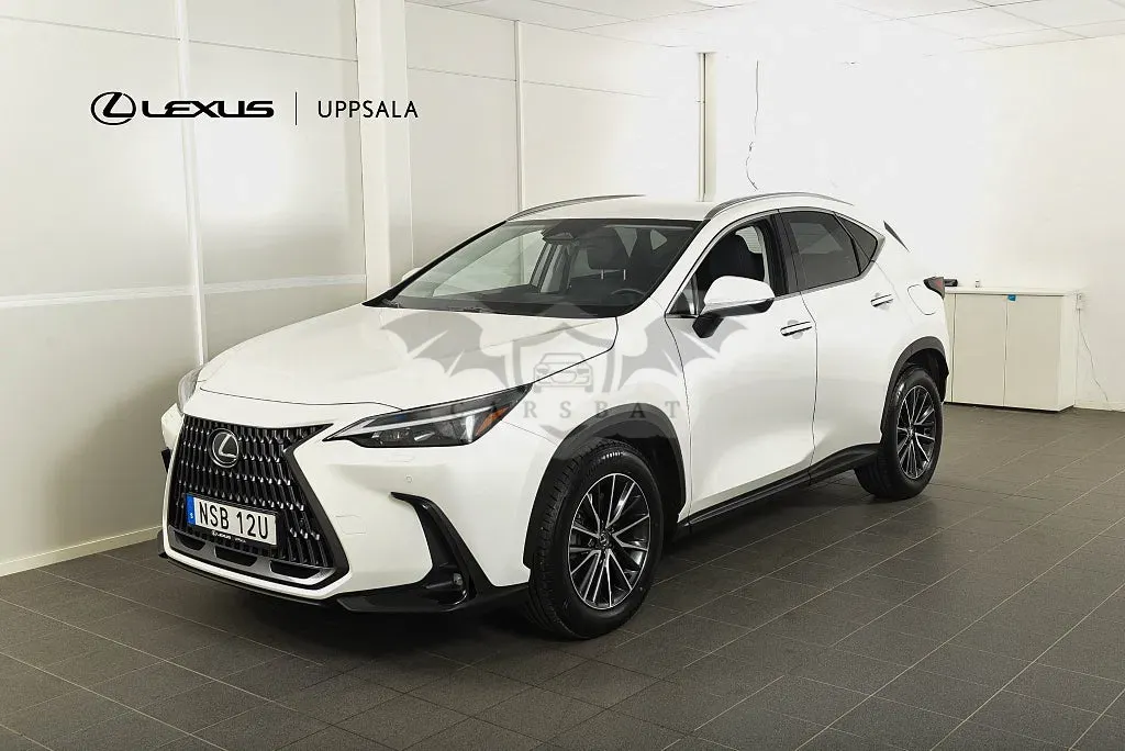 Lexus NX 2024