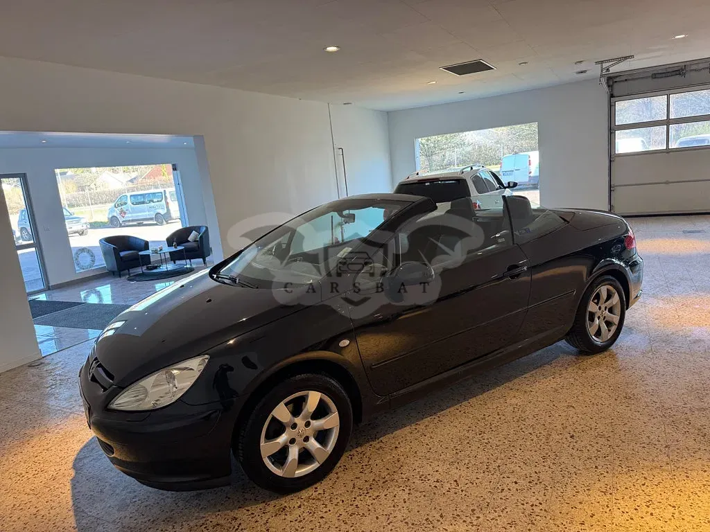 Peugeot 307 2005