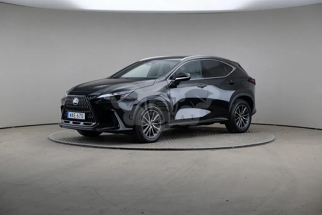 Lexus NX 2022