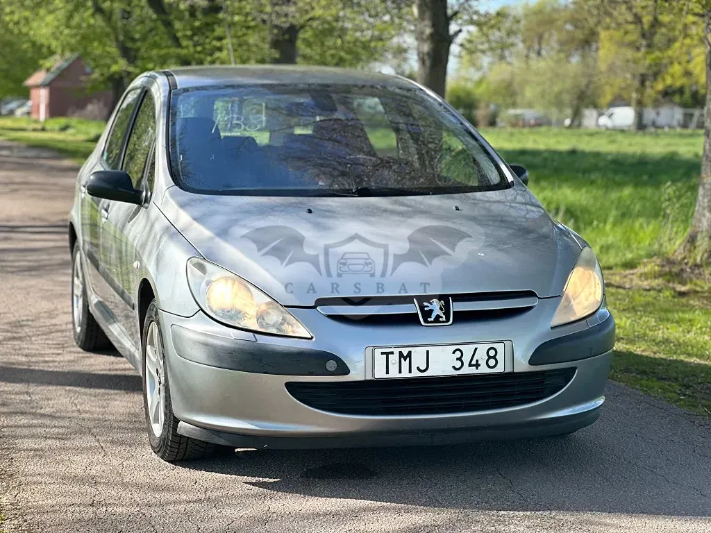 Peugeot 307 2002