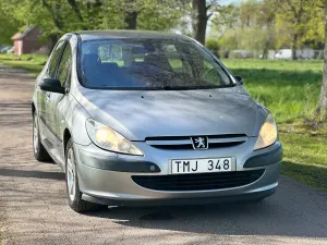 Peugeot 307 2002