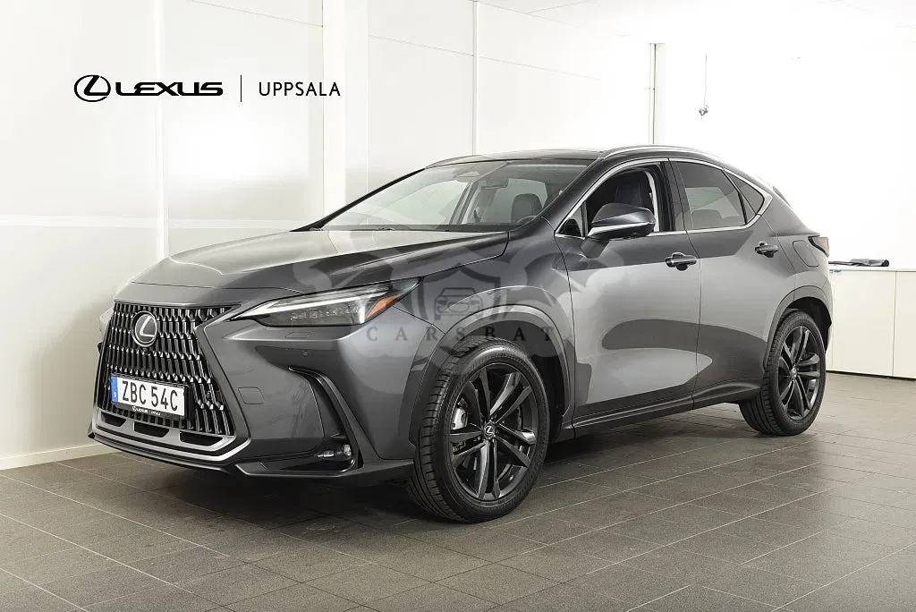 Lexus NX 2025