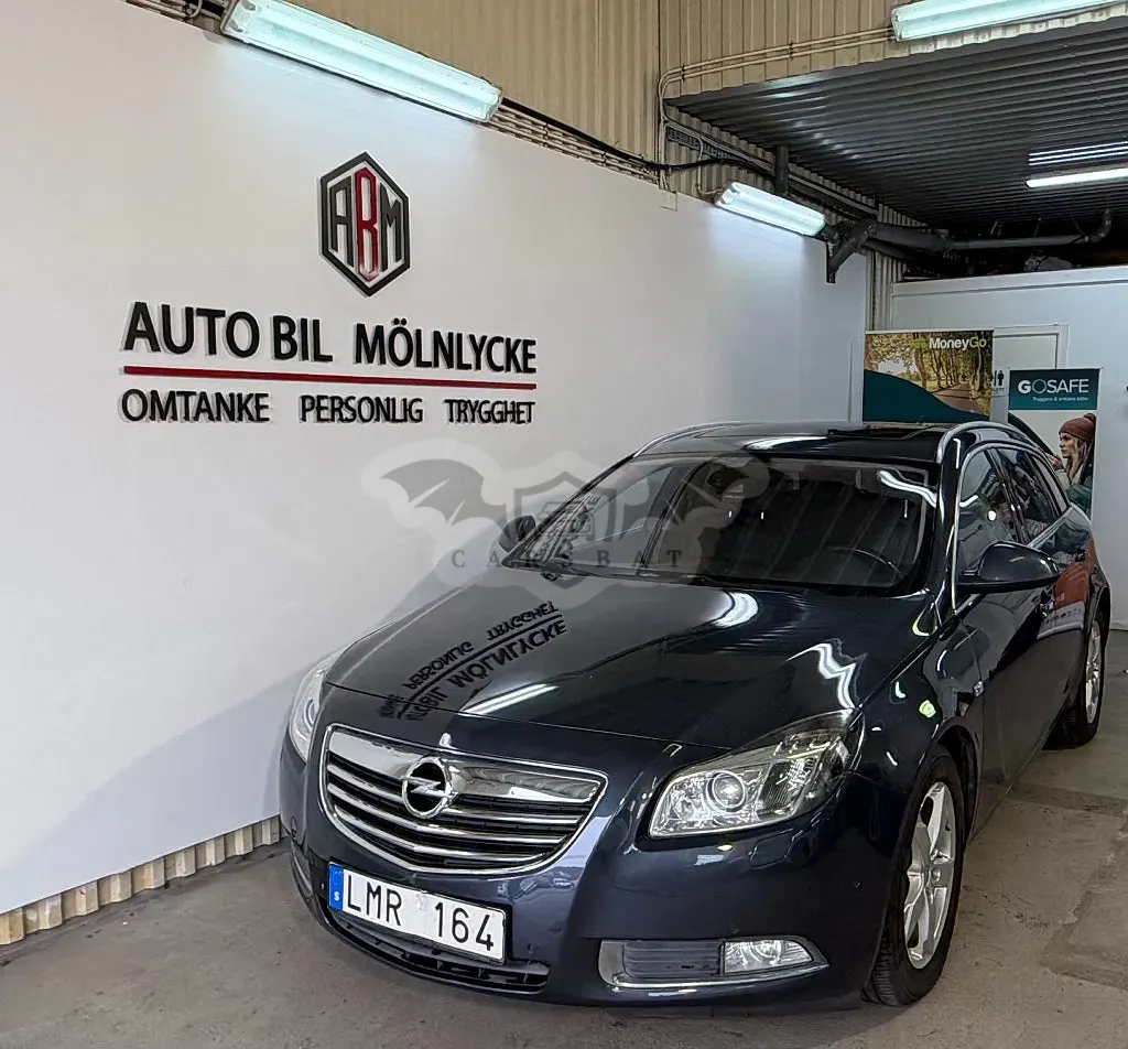 Opel Insignia 2010