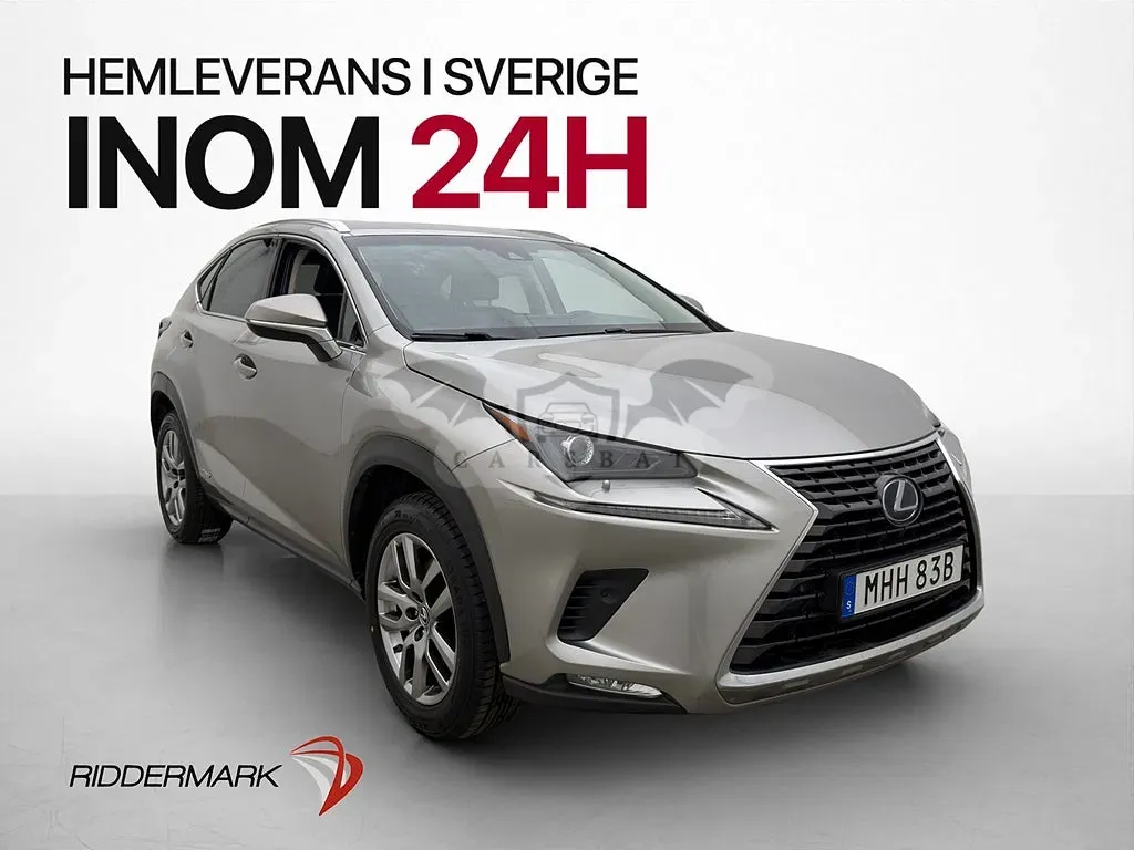 Lexus NX 2019