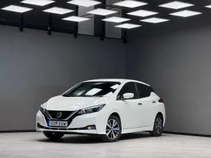 Nissan Leaf 2020
