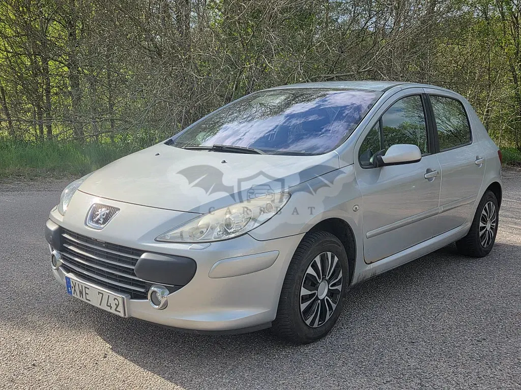 Peugeot 307 2006