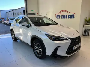Lexus NX 2024