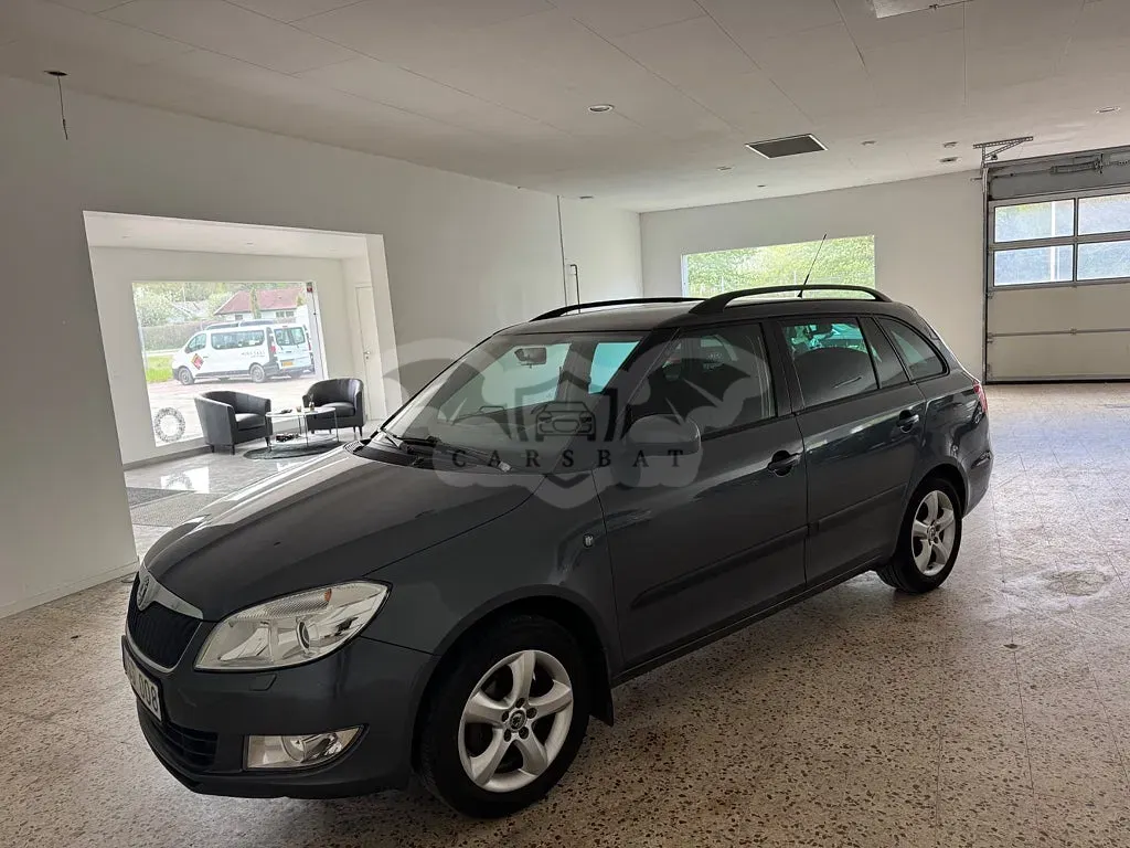 Skoda Fabia 2011