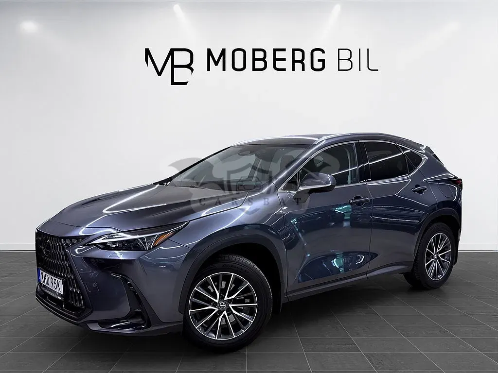 Lexus NX 2024