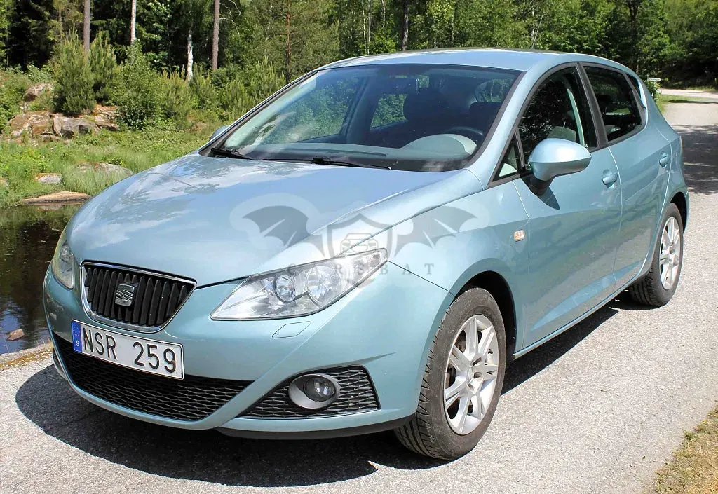Seat Ibiza 2010