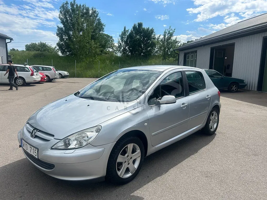 Peugeot 307 2005