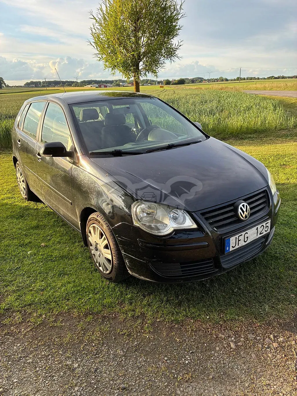 Volkswagen Polo 2007