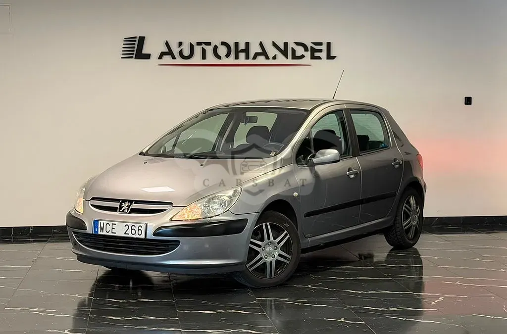 Peugeot 307 2004