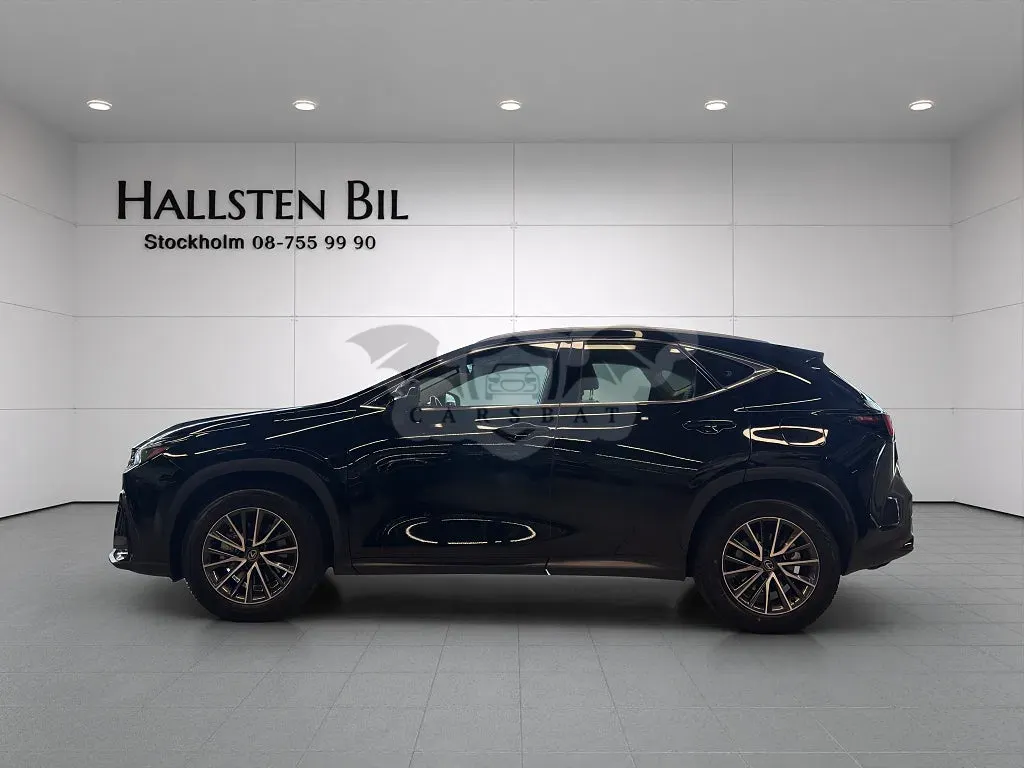 Lexus NX 2025