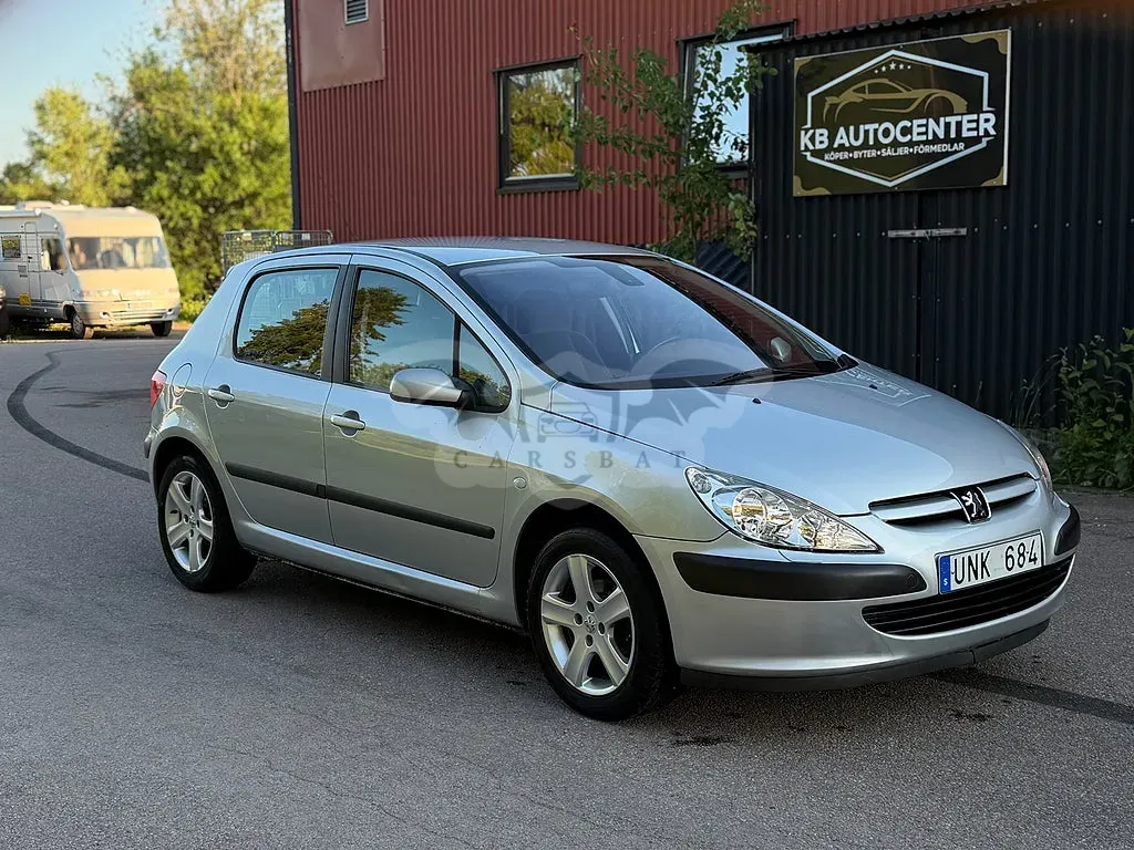 Peugeot 307 2004