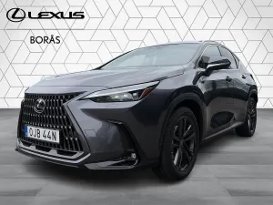 Lexus NX 2025