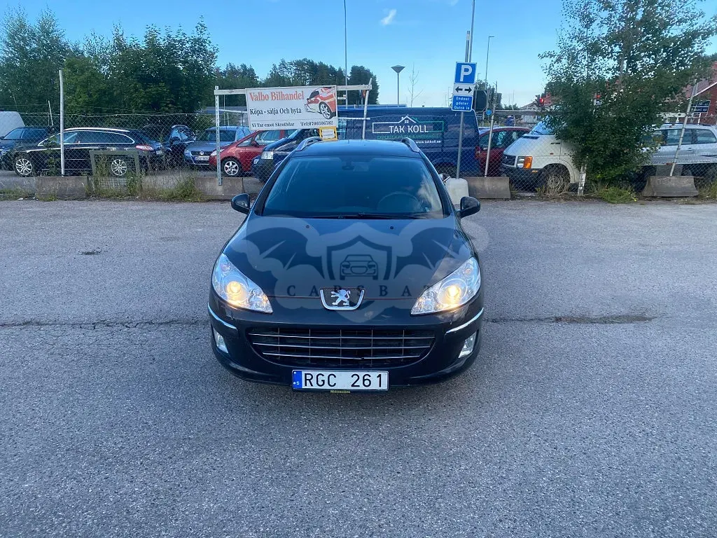 Peugeot 407 2010