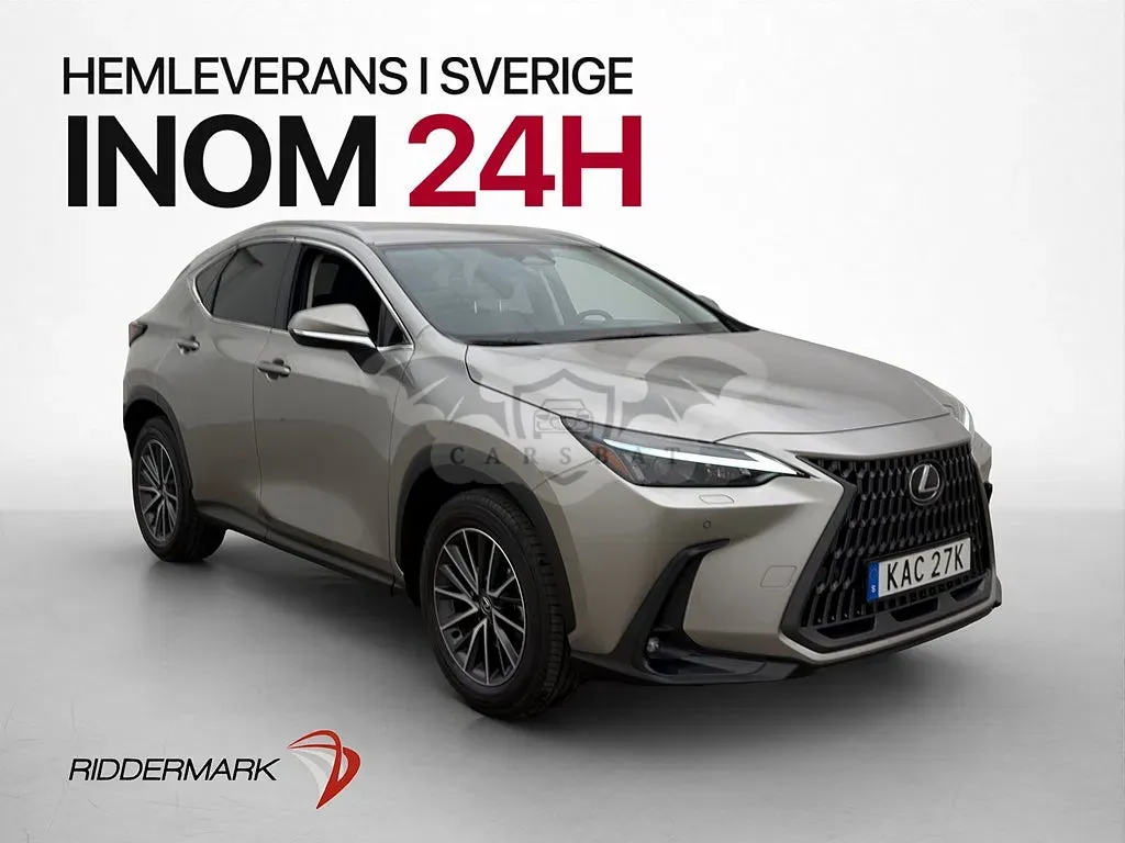 Lexus NX 2025