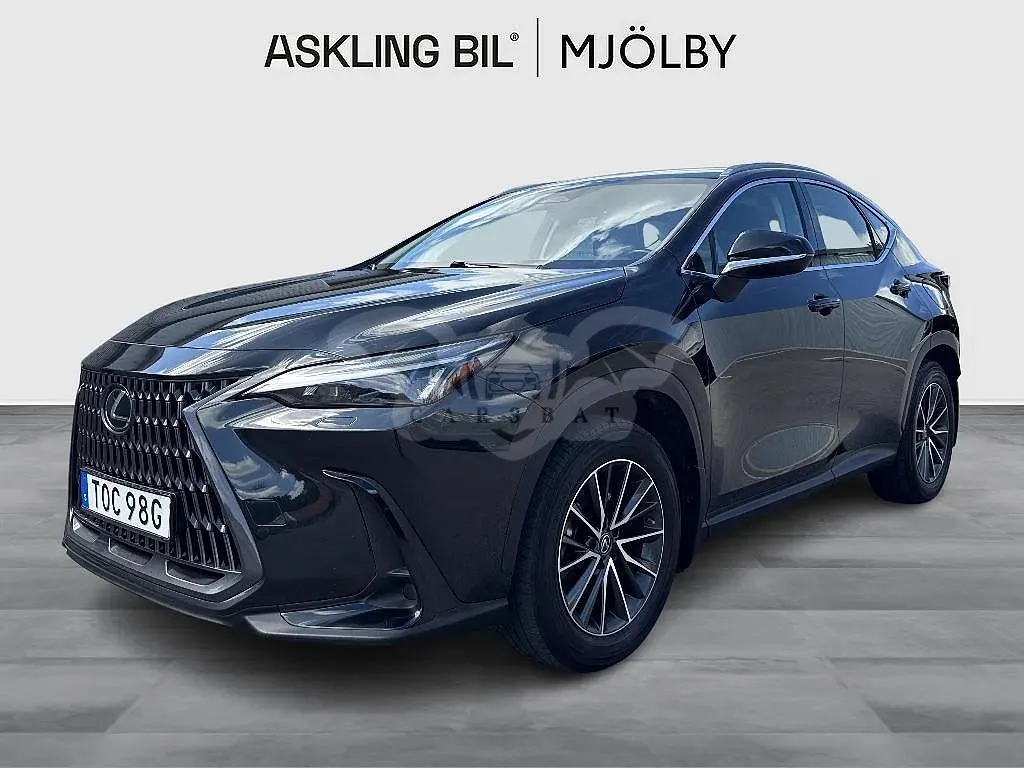 Lexus NX 2022
