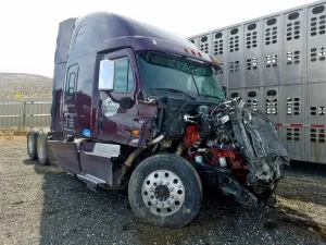 Freightliner Cascadia 14.9L 6 2015