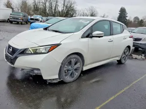 Nissan Leaf 0.0L 0 2020