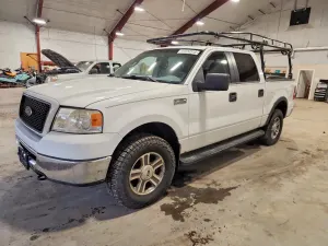 Ford F-150 5.4L 8 2006