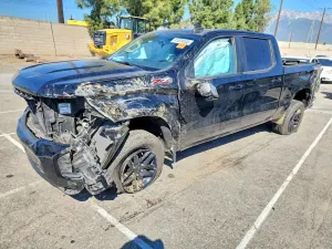 Chevrolet Silverado 1500 5.3L 8 2019