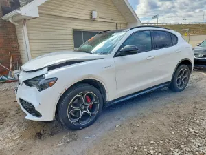 Alfa Romeo Stelvio 2.0L 4 2024