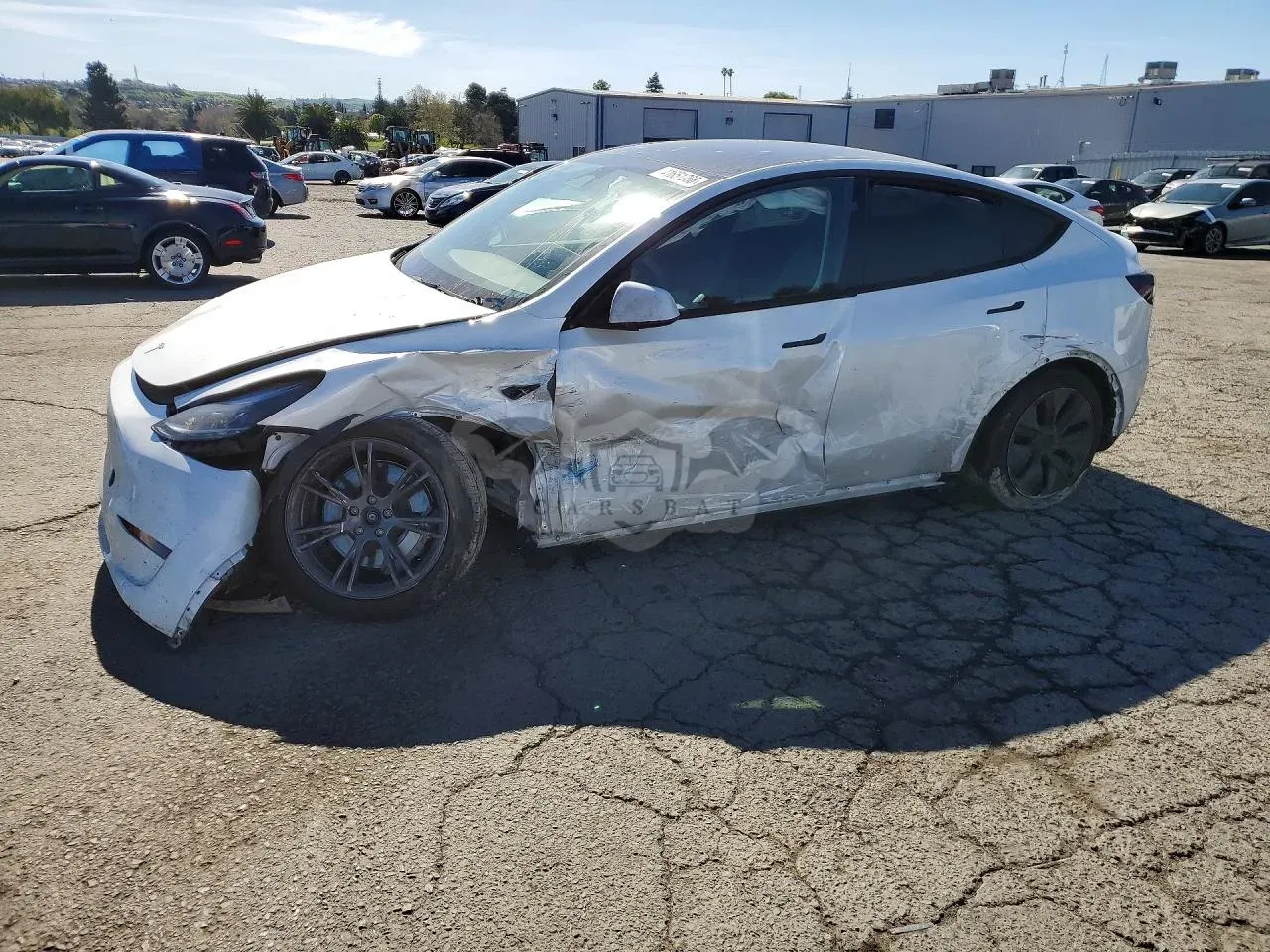 Tesla Model Y 2025