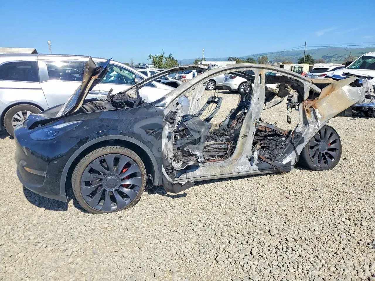 Tesla Model Y 2024