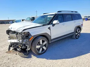 Hyundai Santa Fe 2.5L 4 2024