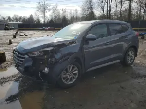Hyundai Tucson 2.0L 4 2018
