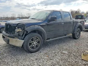 Ford F-150 4.6L 8 2009