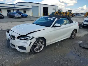BMW 2 Series 2.0L 4 2016