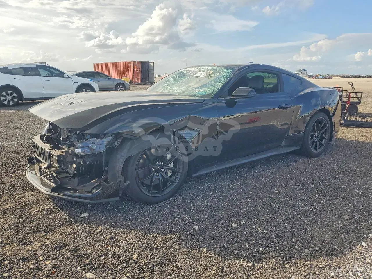 Ford Mustang 5.0L 8 2024