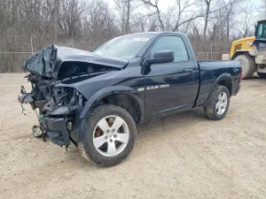 Dodge RAM 5.7L 8 2012