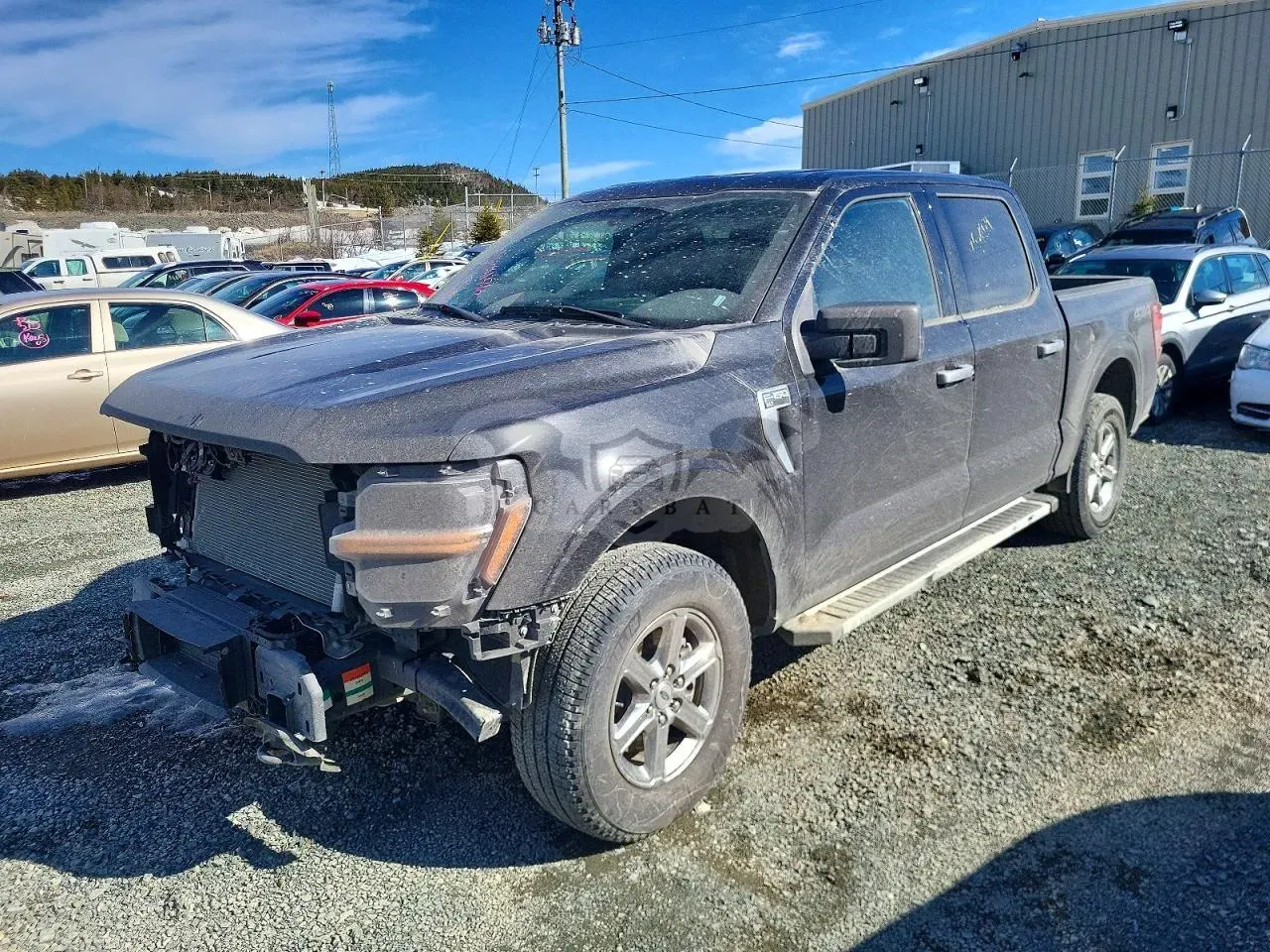 Ford F-150 3.5L 6 2025