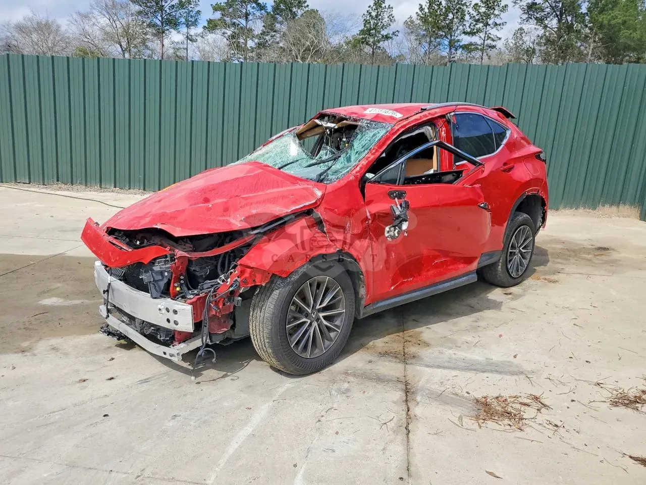 Lexus NX 2.5L 4 2024