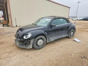 Volkswagen Beetle 1.8L 4 2015