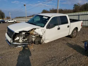 Ford F-150 4.6L 8 2008