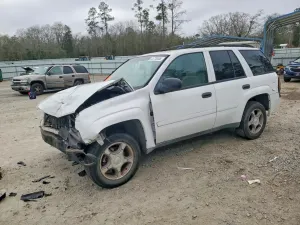 Chevrolet Trailblazer 4.2L 6 2008